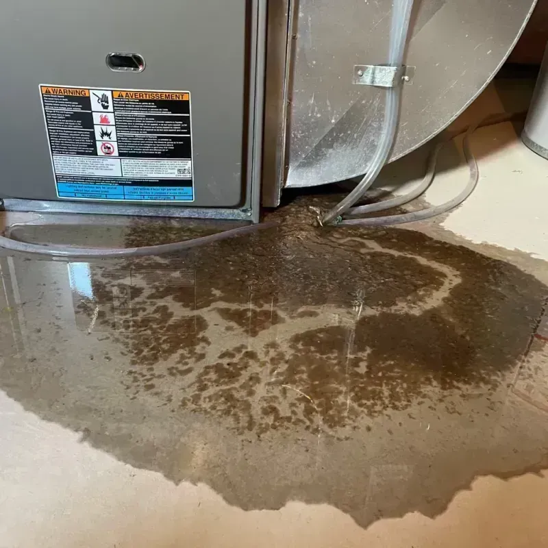 Appliance Leak Cleanup in Reese, MI